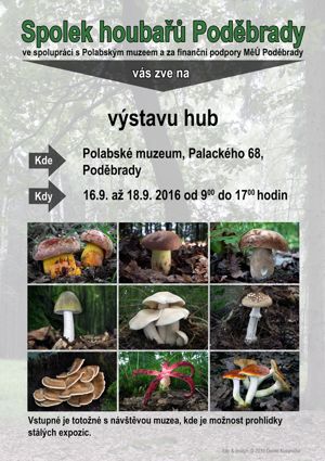 podebrady_2016web.jpg