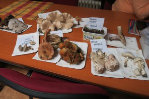 img_2175.jpg